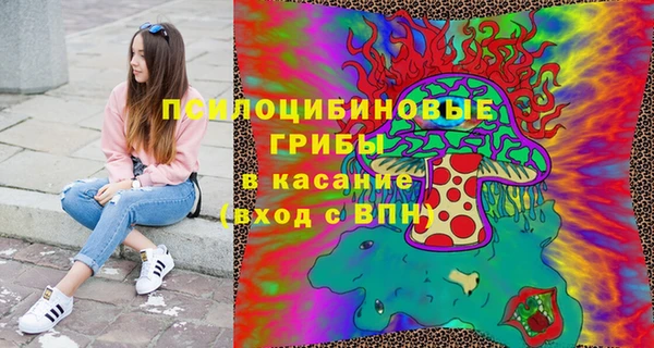 ПСИЛОЦИБИНОВЫЕ ГРИБЫ Богородицк