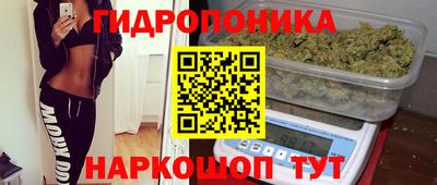 молекула духа Жуковский