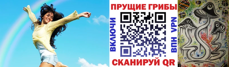 blacksprut как зайти Ярославль Галлюциногенные грибы прущие грибы где можно купить