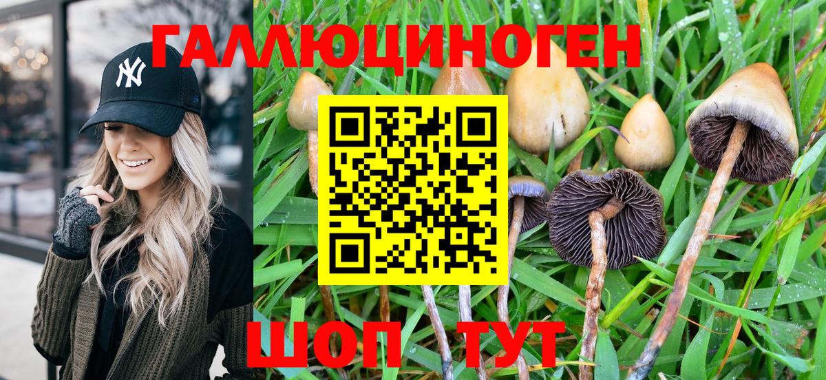 Псилоцибиновые грибы Magic Shrooms Ярославль