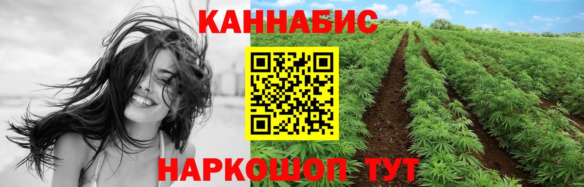 Ярославль  Марихуана AK-47  Вход с VPN  Бошки марихуана планчик  МАРИХУАНА конопля 